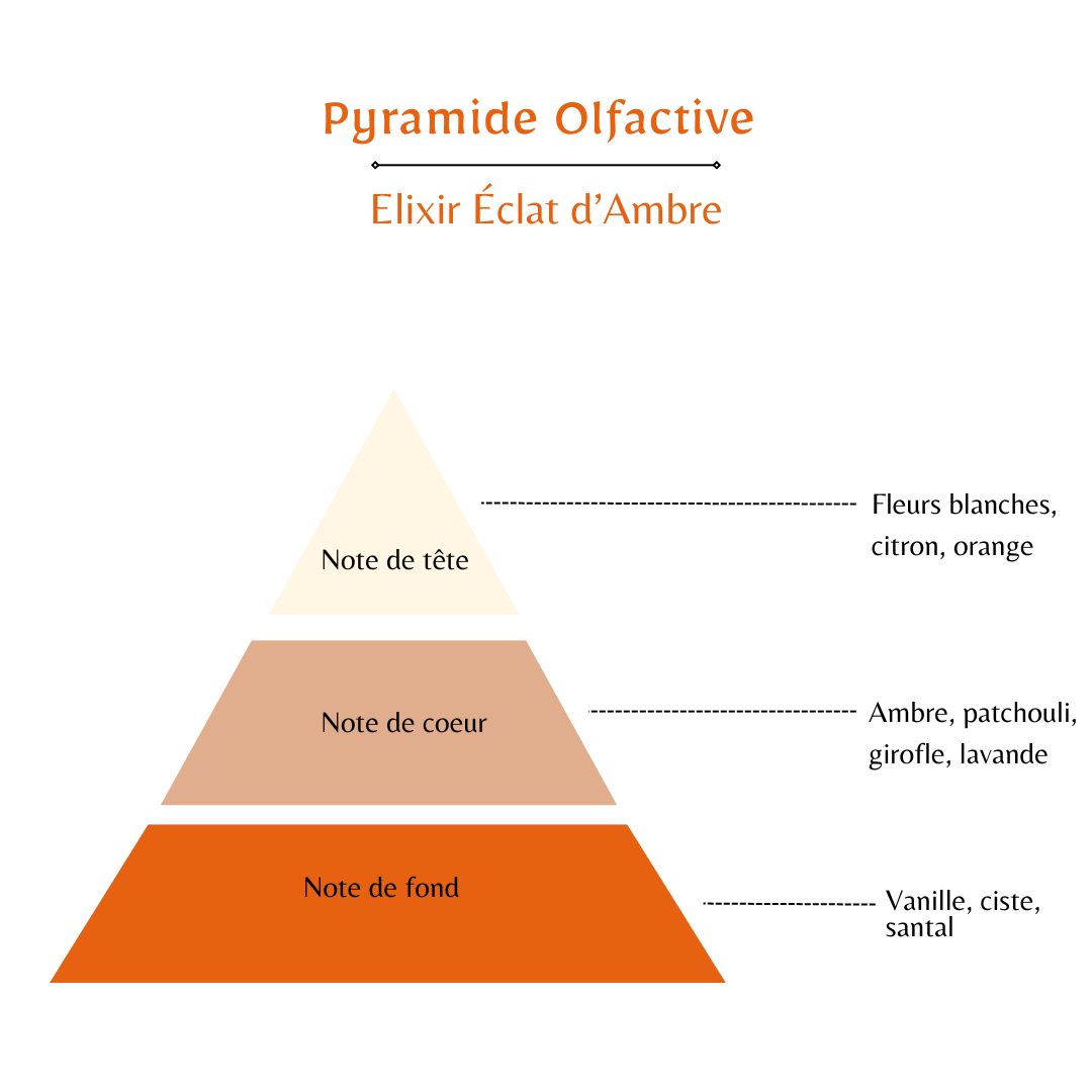 Elixir Éclat d'Ambre